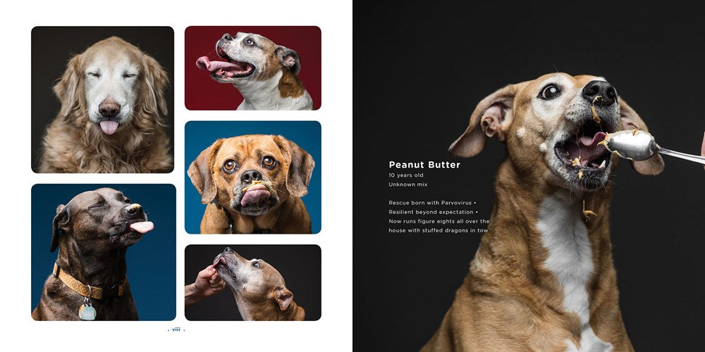 Peanut Butter Dogs、mySite、g9winljtr