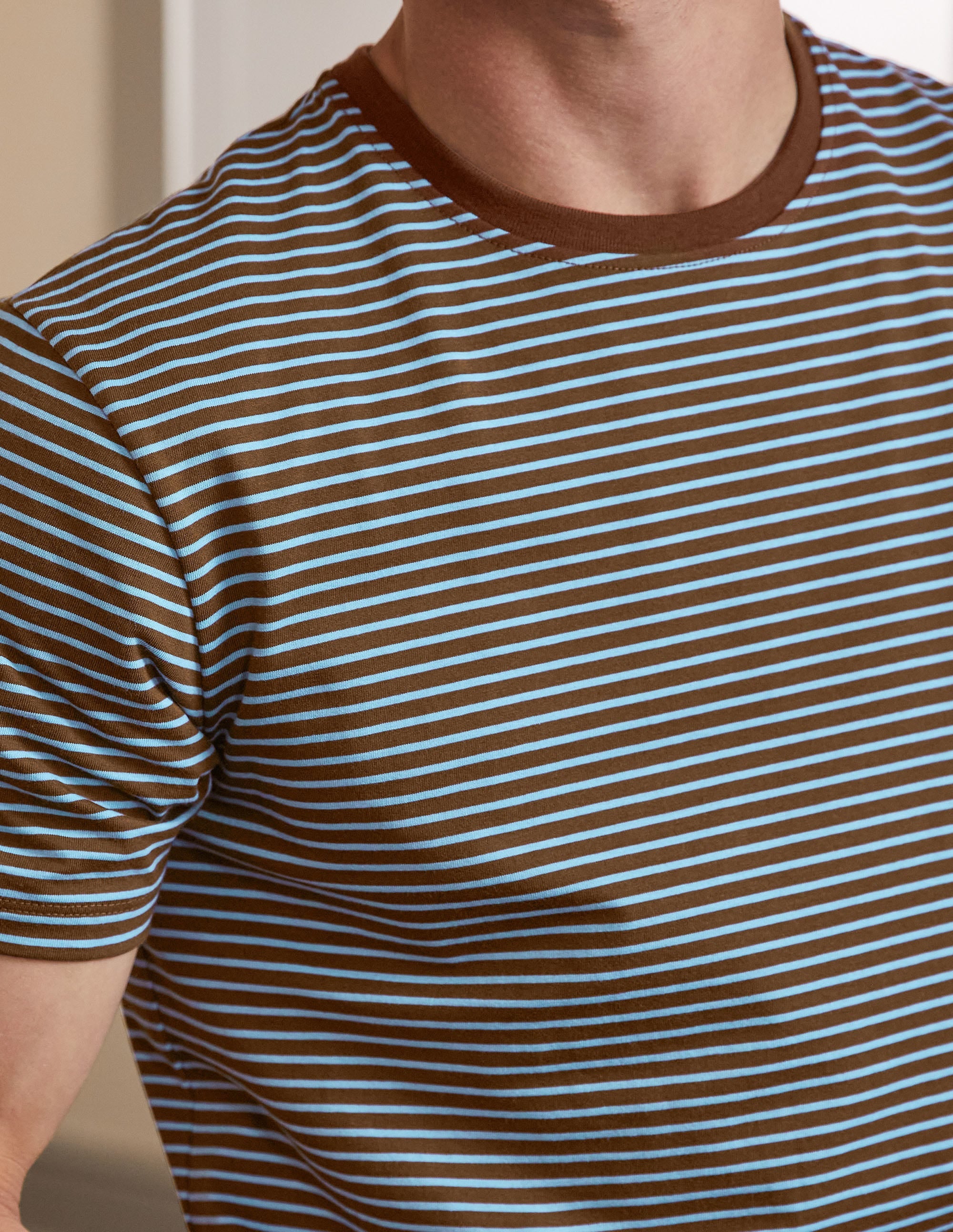  Classic Cotton T-shirt-Cacao/ Lichen Blue Stripe、mySite、ashleygrahame