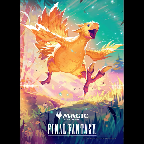 FNM Summer Events、mySite、waistdrama