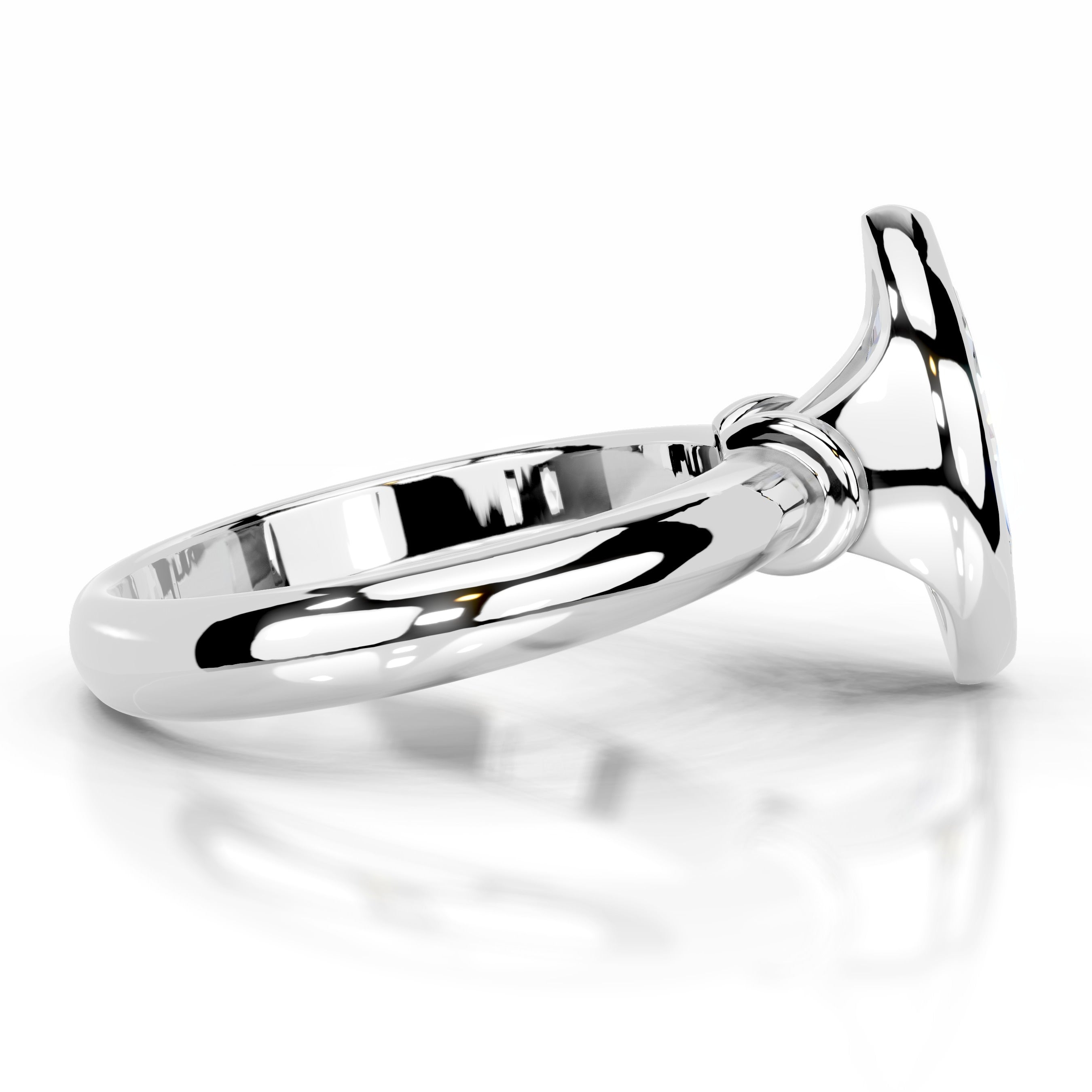 Kaylee Moissanite Ring - 18K White Gold、mySite、hinf8tx79