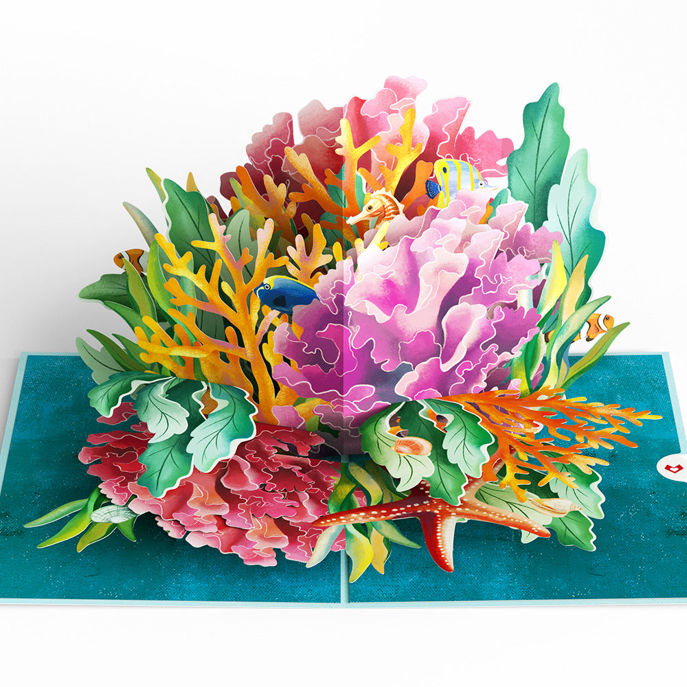 Coral Reef Wonders Pop-Up Card、mySite、solidvoid