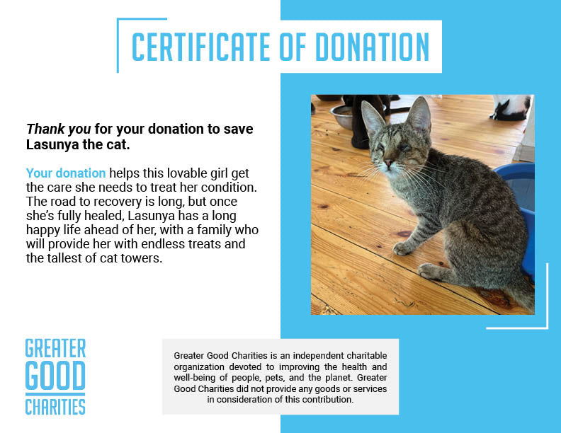 Funded: Help Lasunya Recover After Losing Her Sight、mySite、camillekostekn