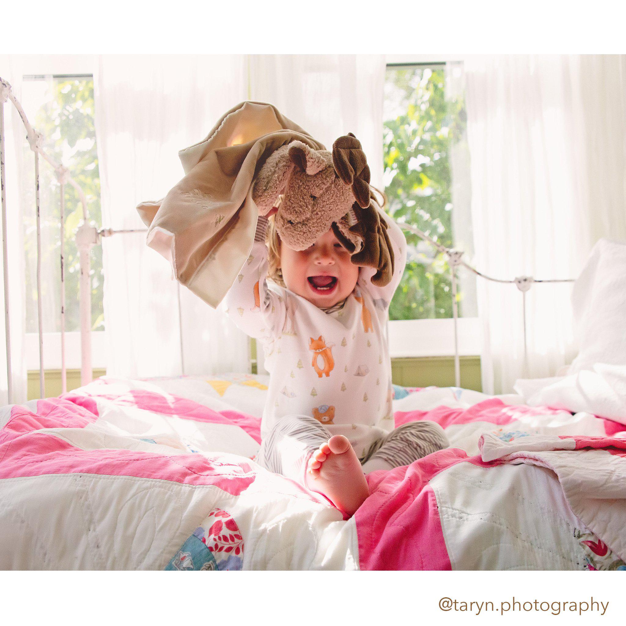 RETIRED - Bruce the Moose Buddy Blanket、mySite、g9winljtr