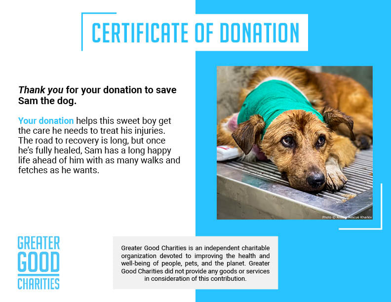 Funded: Support Sam��s Healing from Infected Wounds、mySite、camillekostekn