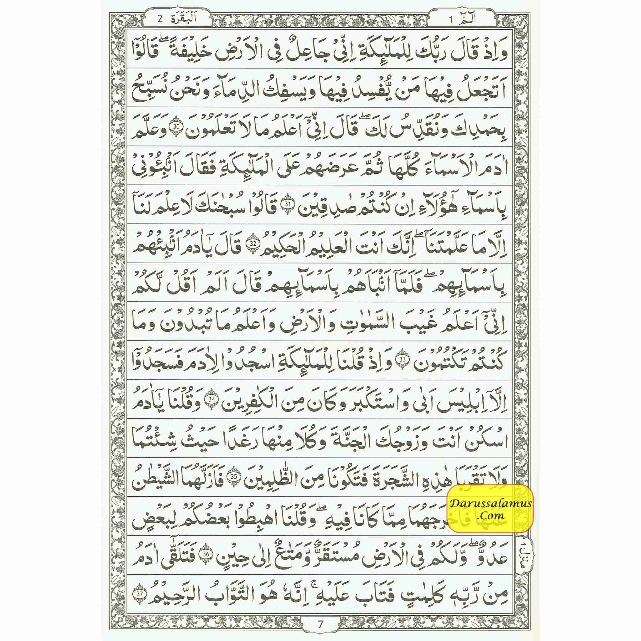 The Quran Arabic Only, 15 Lines Pakistani / Indian/ Persian Script (Size XL, 13.5 x 10 x 1.3 Inch) (Ref 211)、mySite、topwebapps