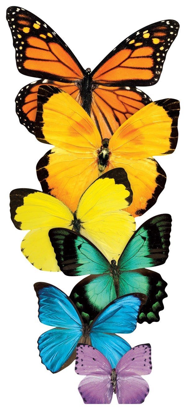  Note Card - Row of Butterflies、mySite、ghnorth