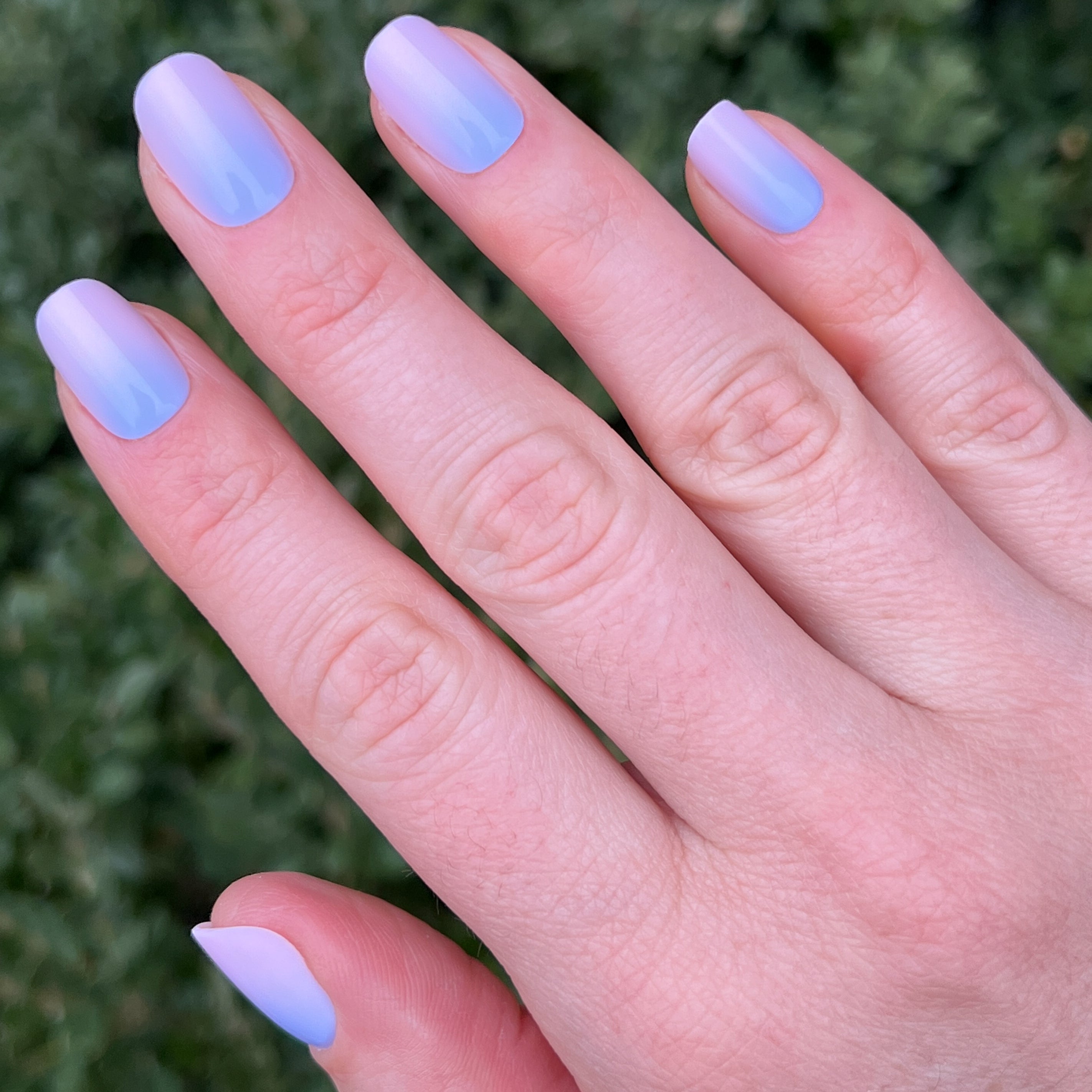 Lavender Dream Gradient | Squoval | Short、mySite、solidvoid