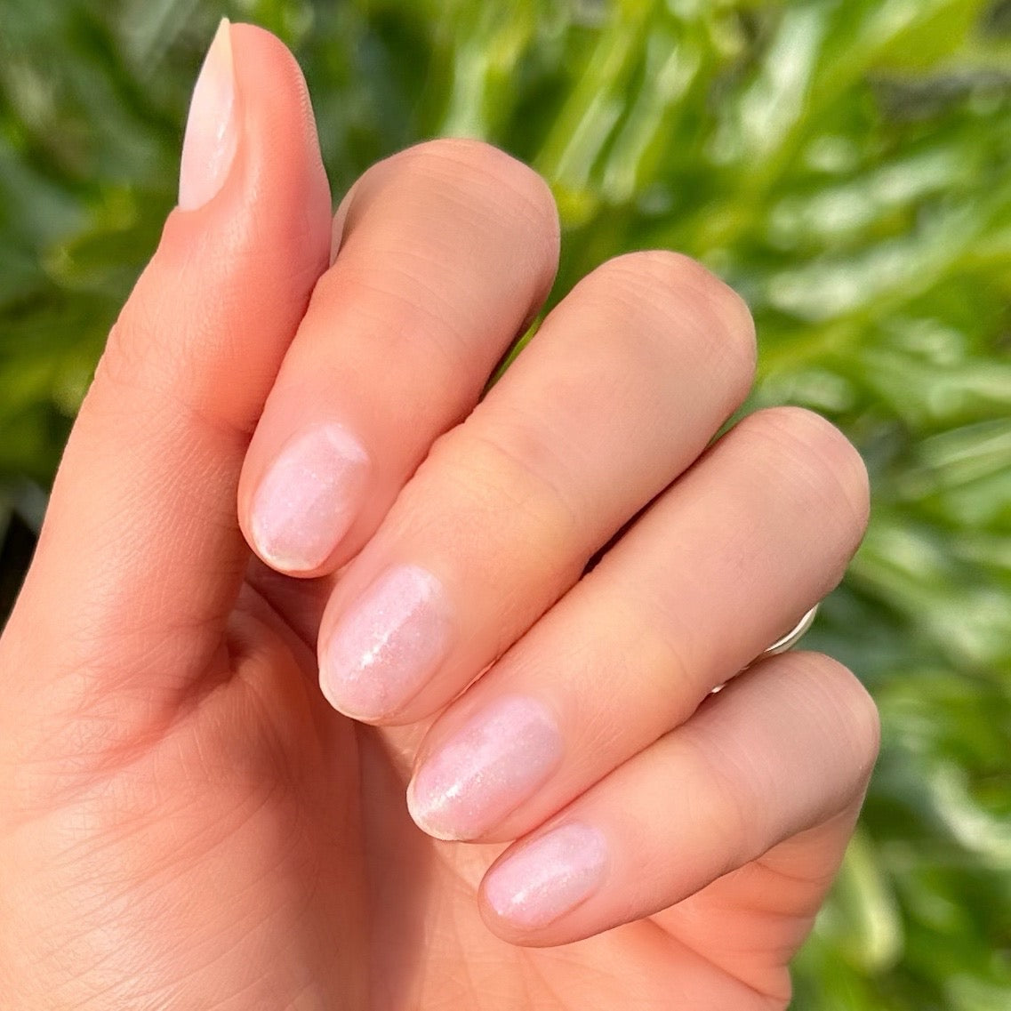 Starshower、mySite、solidvoid