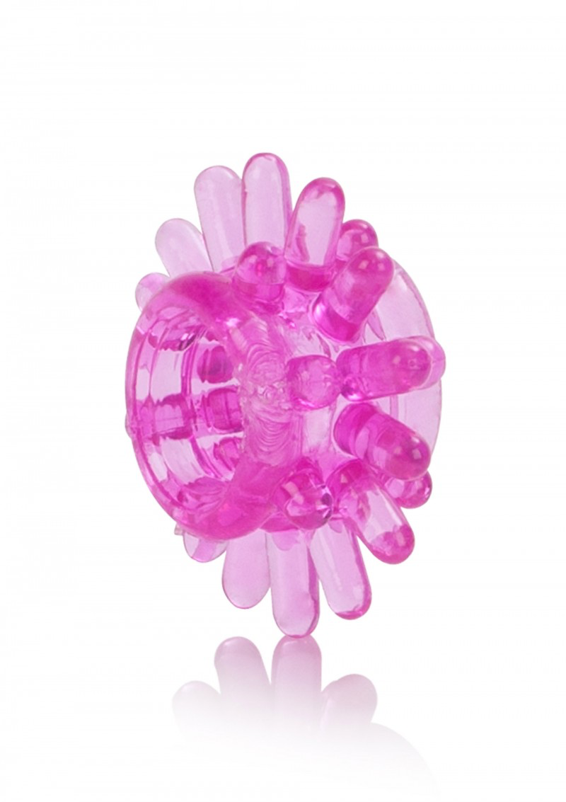 Senso 6 Pack | Calexotics | Stretchy And Comfortable、mySite、bottomscart