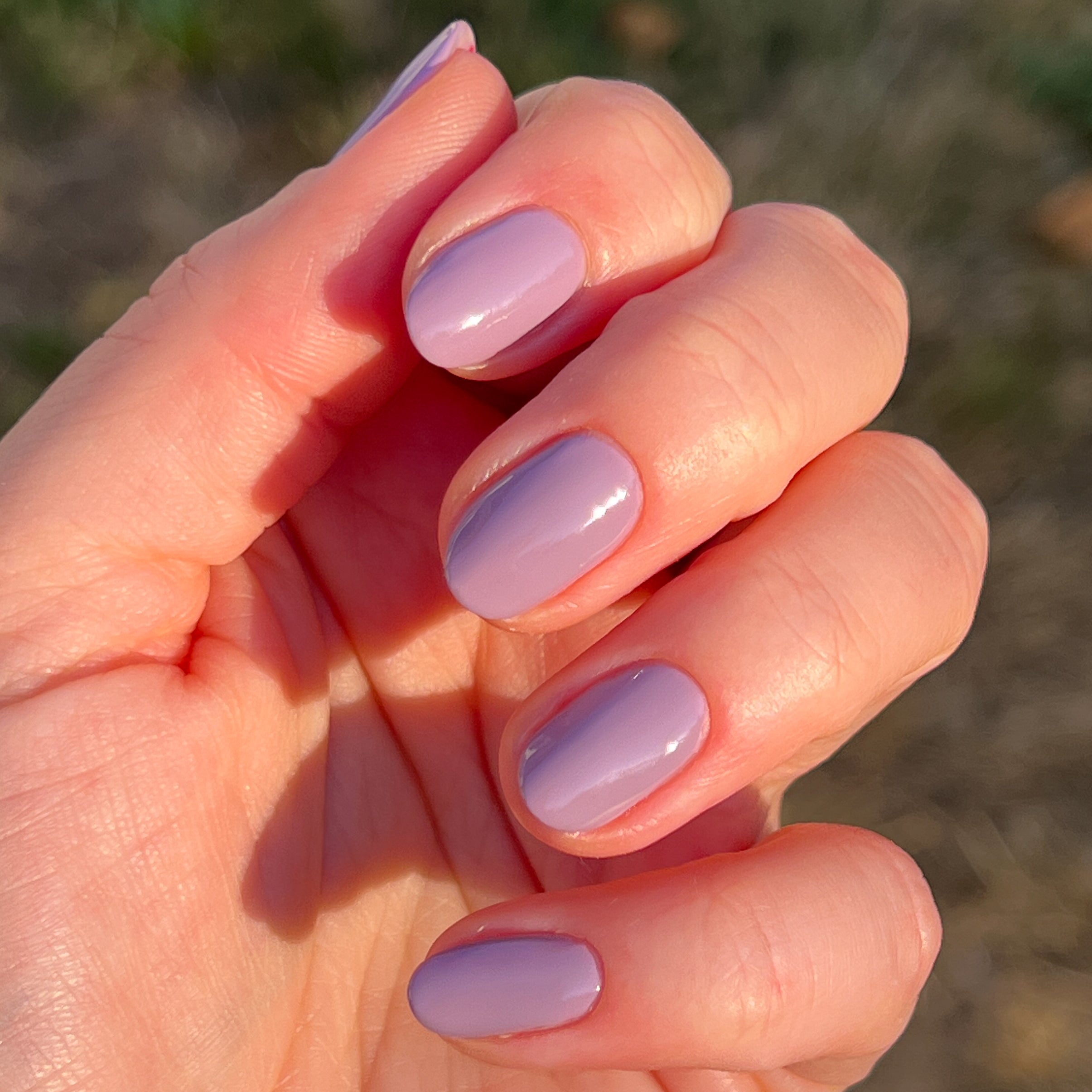 Prairie、mySite、solidvoid