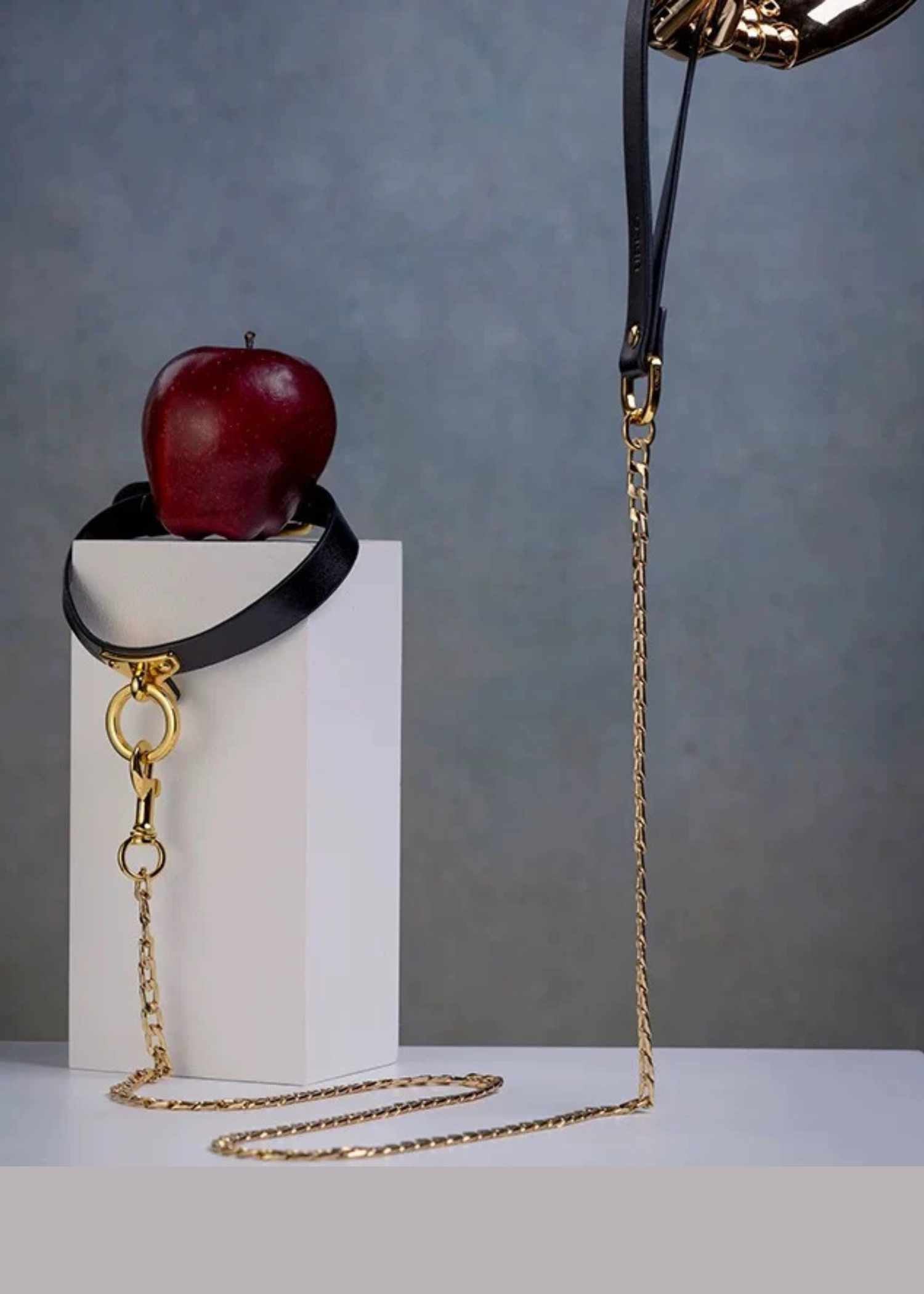  Leather Leash、mySite、justintrudeaud