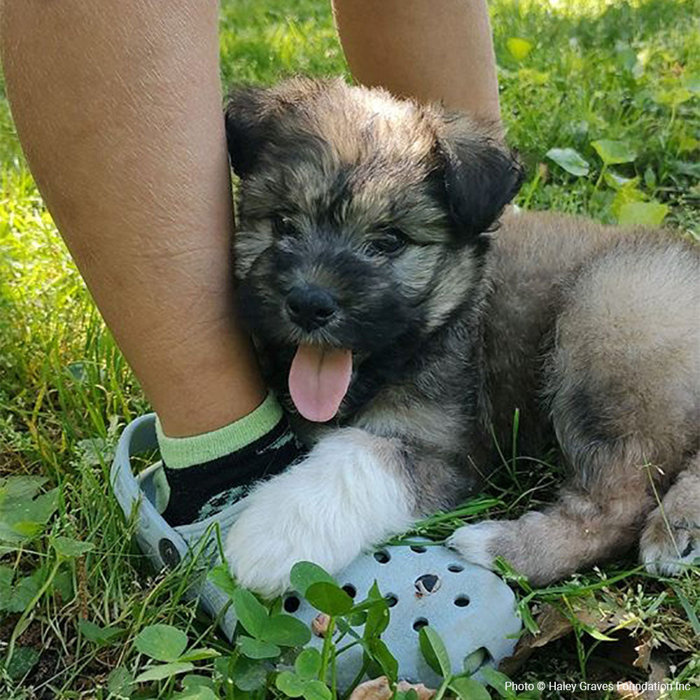 Funded: Help Little Lainey Run & Play Without Pain、mySite、camillekostekn