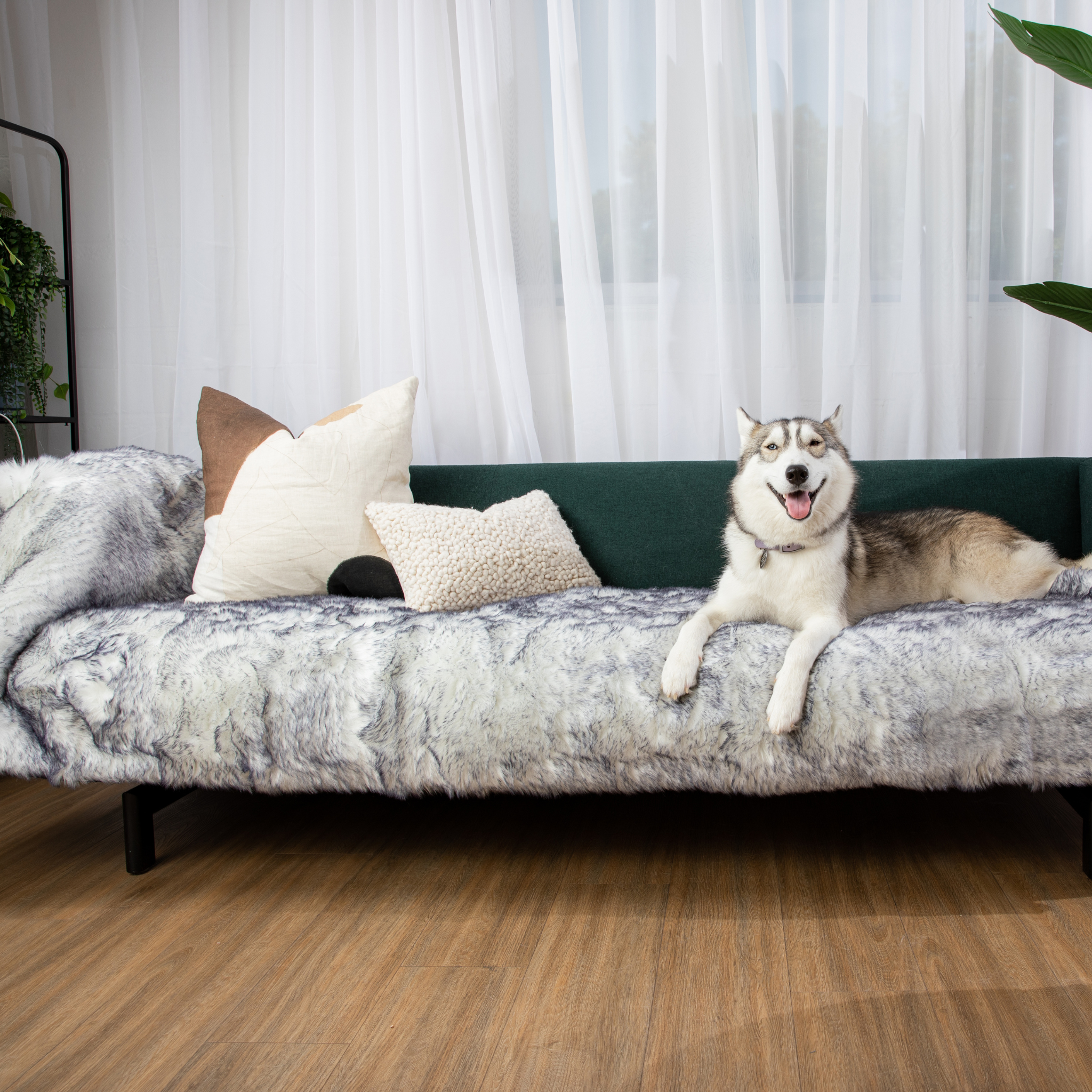 PupProtector™ Luxe Waterproof Bed Runner - Ultra Plush Arctic Fox、mySite、solidvoid