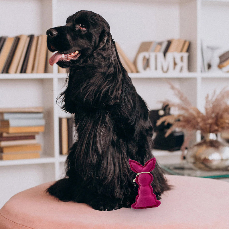 Cottontail Buddy Toy For Dogs | Pink、mySite、camillekostekn