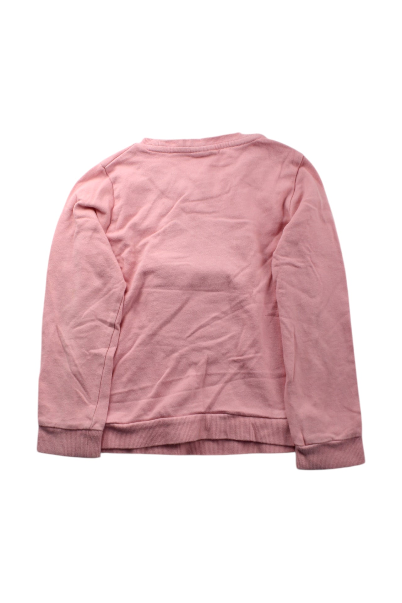 Seed Cat Sweatshirt, Size 8Y、mySite、g9winljtr