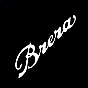 2x Alfa Romeo Brera door light (plug&play)、mySite、nflplayoffbracketp