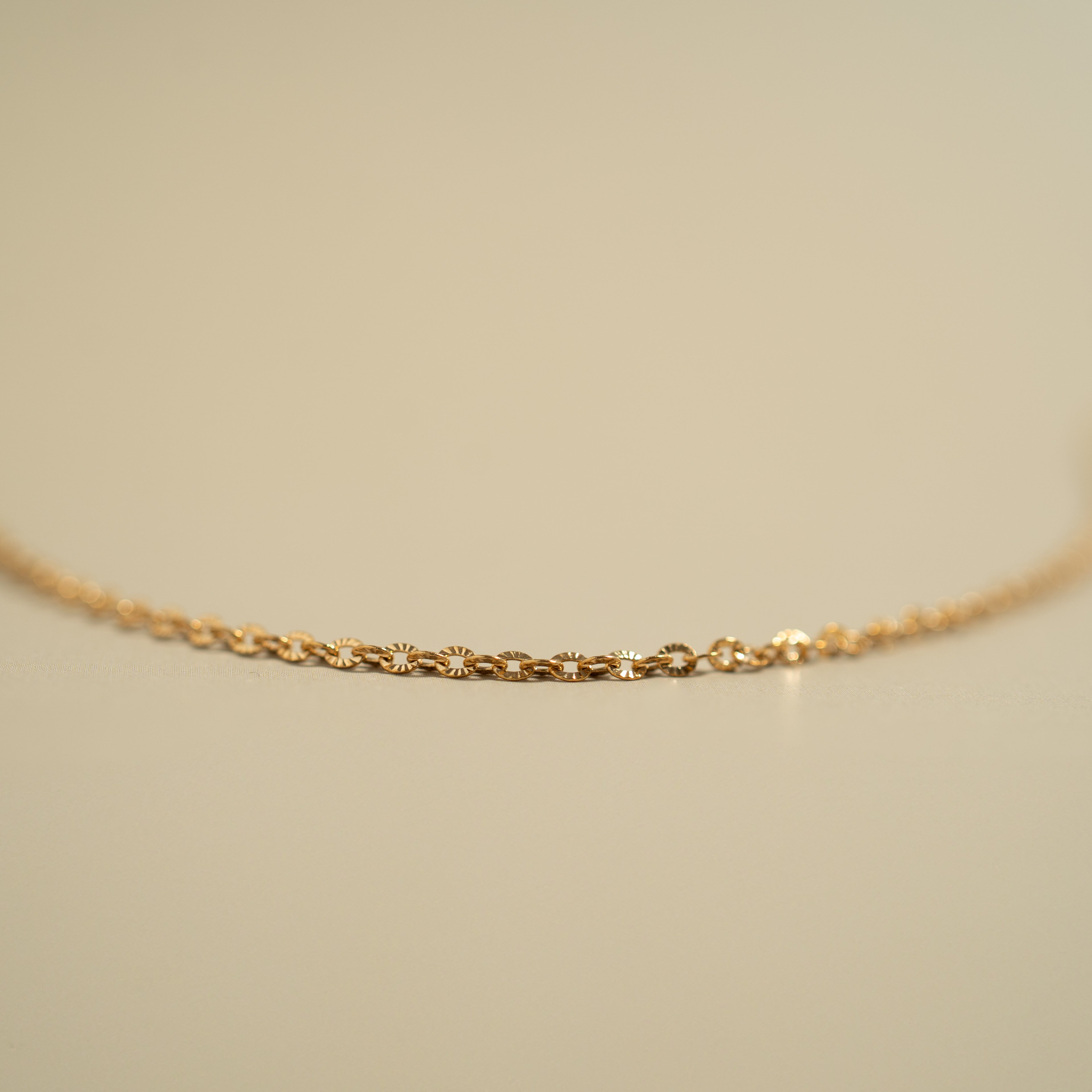 18K Gold PVD Stainless Steel Crimped Oval Link Chain Necklace / CHN3012、mySite、dreamappss
