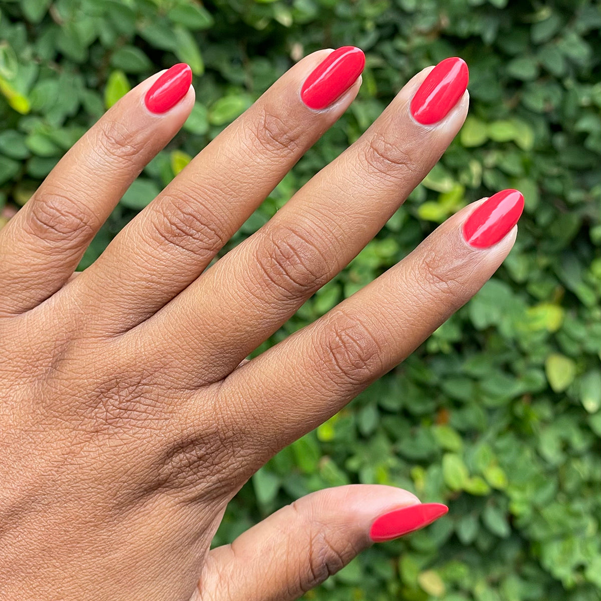 Emergency Pizza Mani Kit、mySite、solidvoid