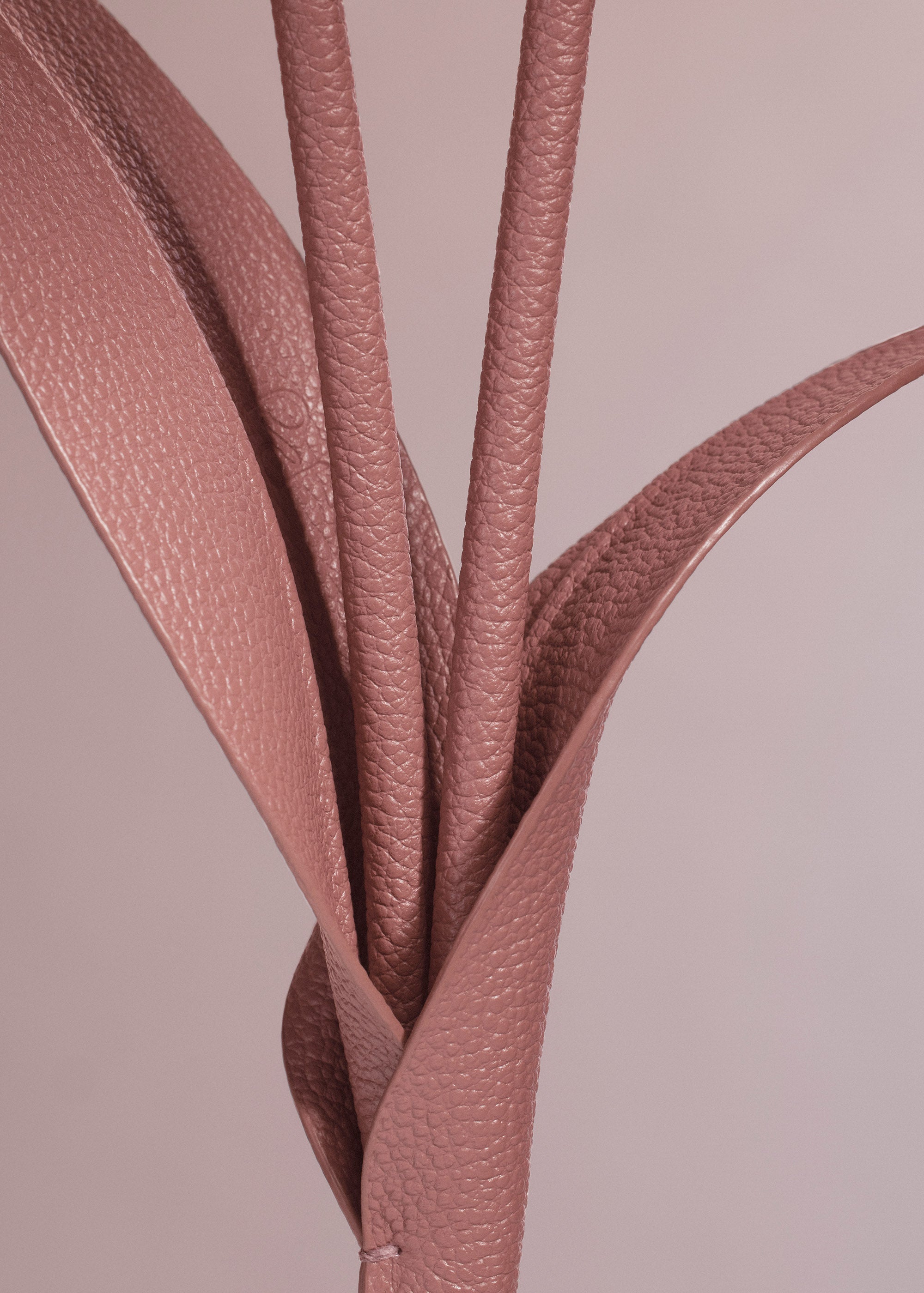 Fleur Touka - Trio Blush Grain茅、mySite、camillekostekn