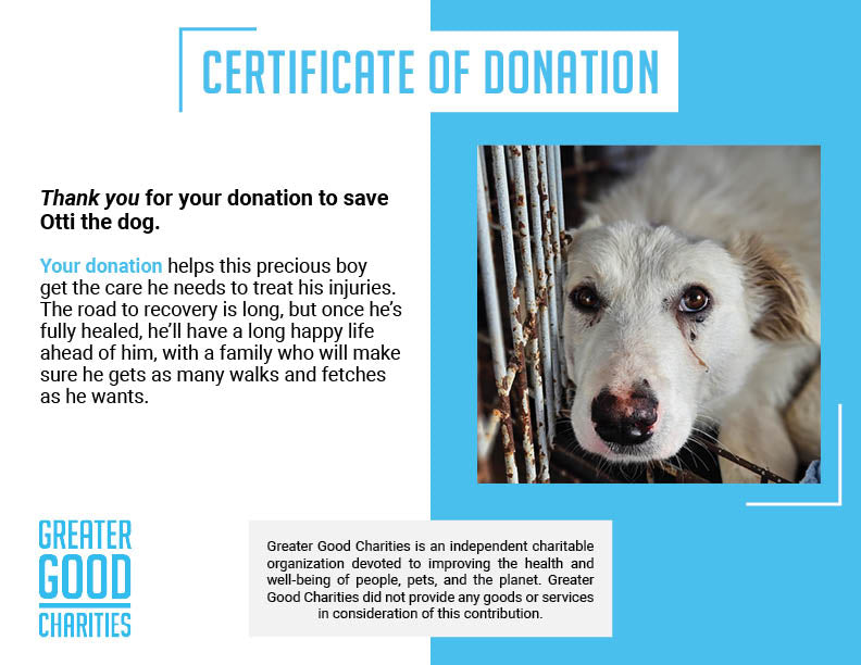 Funded: Help Heal Otti’s Broken Spine、mySite、camillekostekn