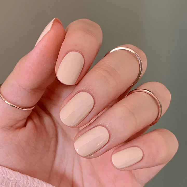 KAG、mySite、solidvoid