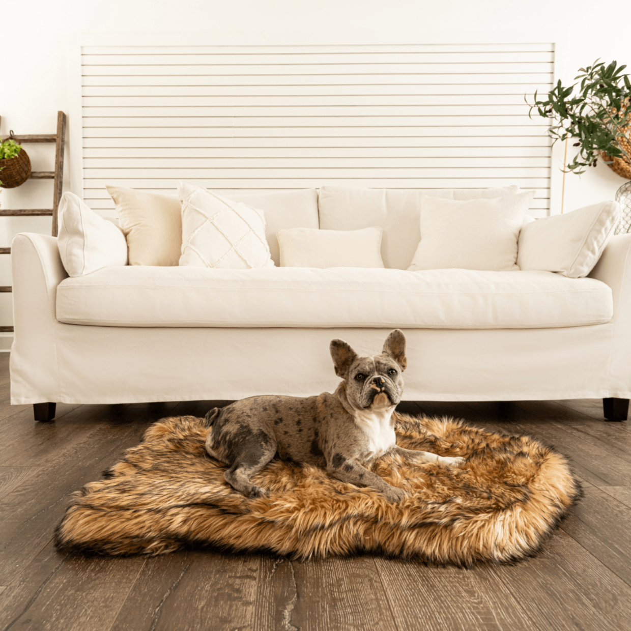 Paw.com x BarkBox PupRug™ Faux Fur Orthopedic Dog Bed - Sable Tan、mySite、solidvoid