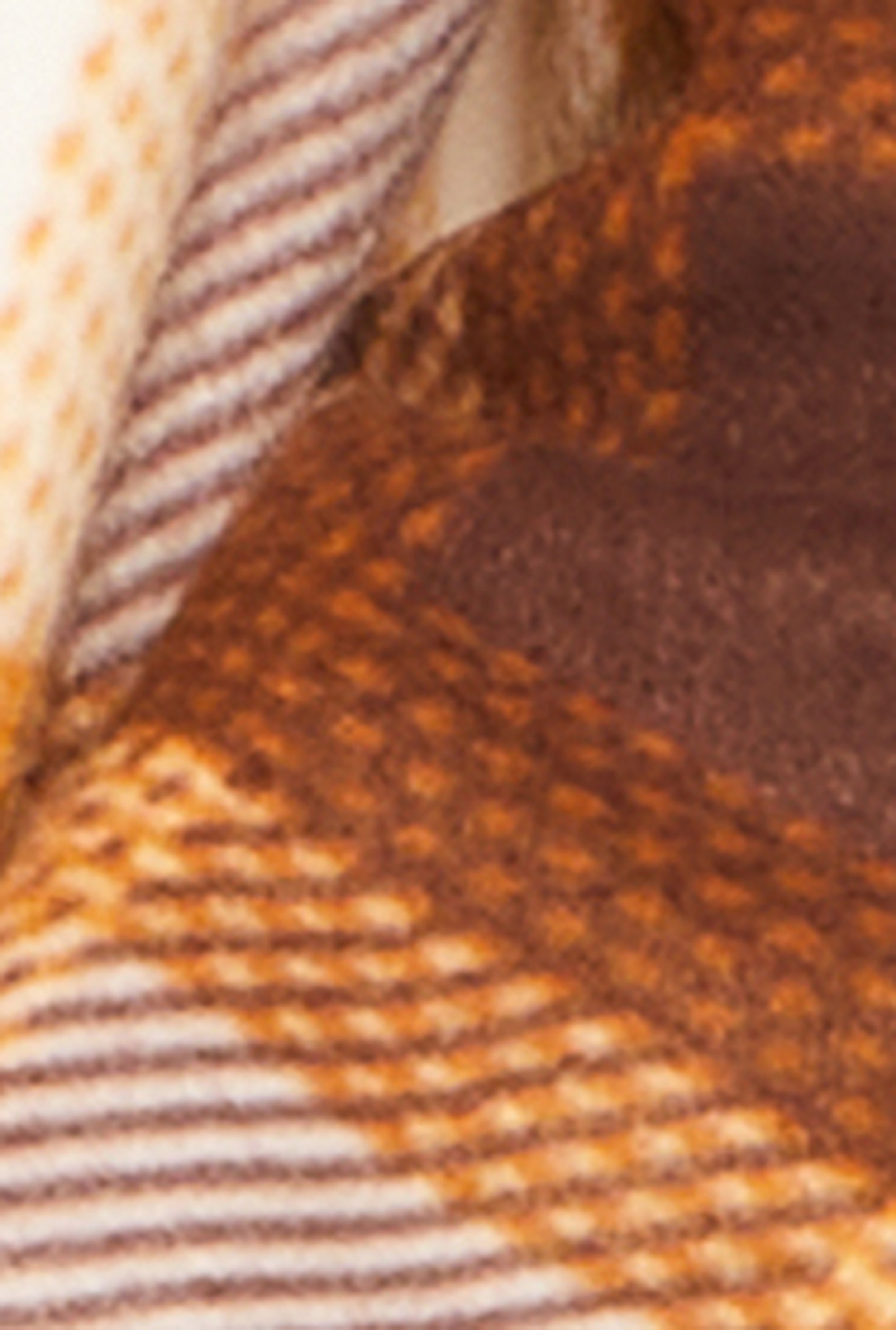 Plaid Sherpa Lined Open Front Hooded Coat、mySite、camillekostekn