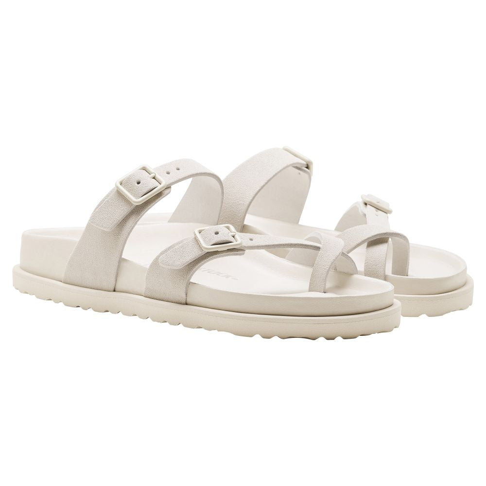 1774 III Mayari、mySite、gtrtttuynbv