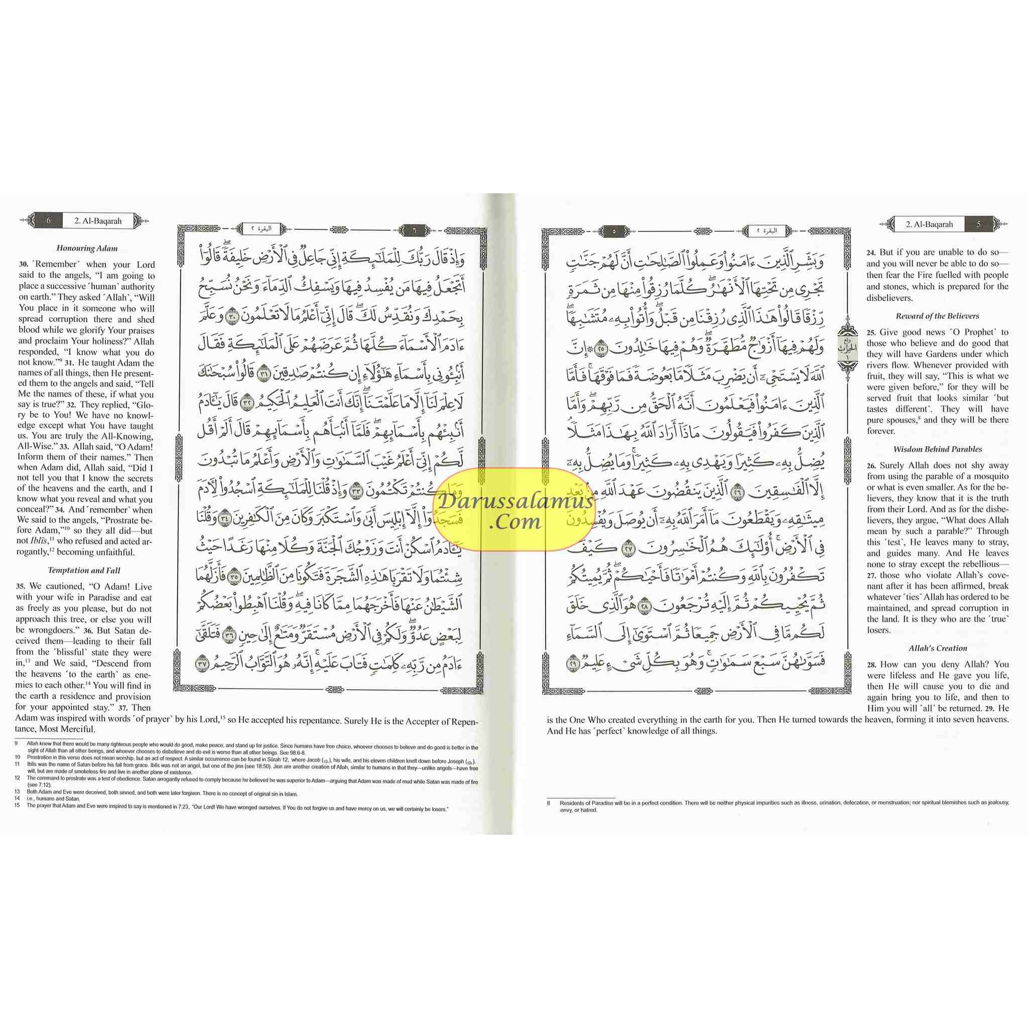 The Clear Quran with Arabic Text Othmani Script 15 Lines: Hifz Edition、mySite、topwebapps