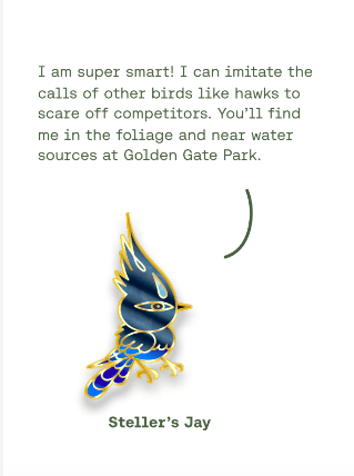 Observation - Steller's Jay - Pin、mySite、garagedoors4me