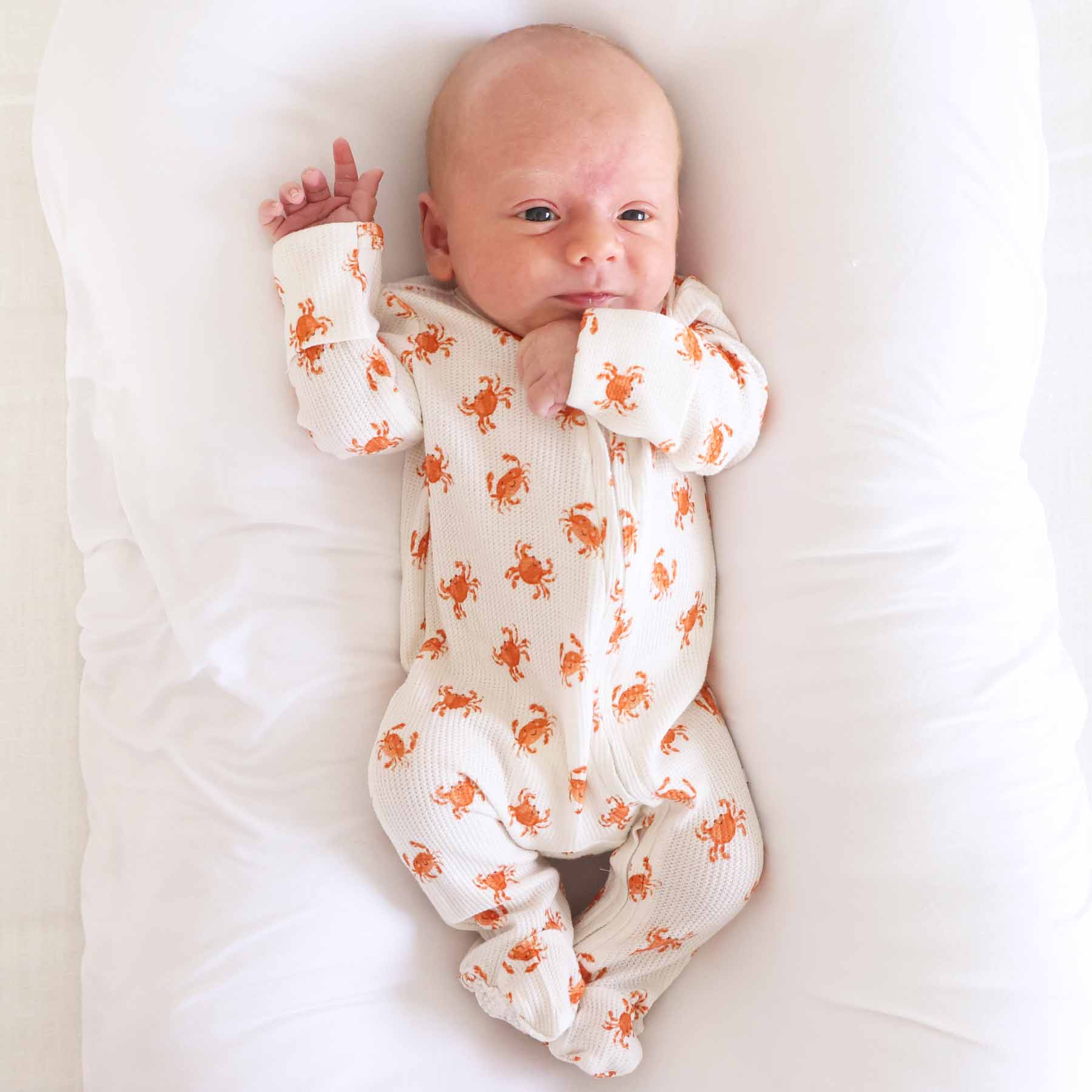  Cutie Crabs Bamboo Waffle Zipper Footie、mySite、layawaytickets