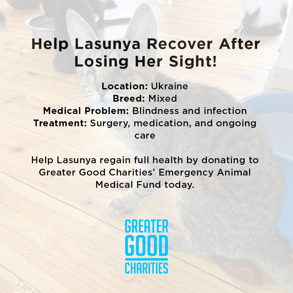 Funded: Help Lasunya Recover After Losing Her Sight、mySite、camillekostekn