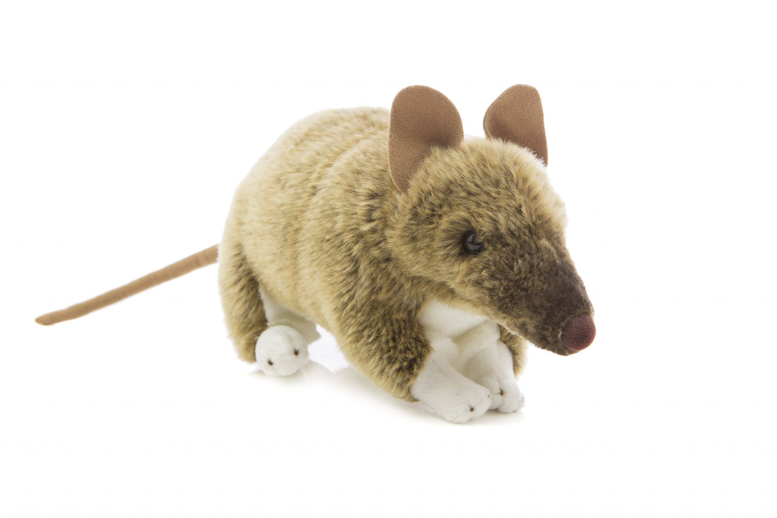 Australian Bandicoot Size 28cm/11 LIfelike Plush Animal Eco Friendly、mySite、g9winljtr