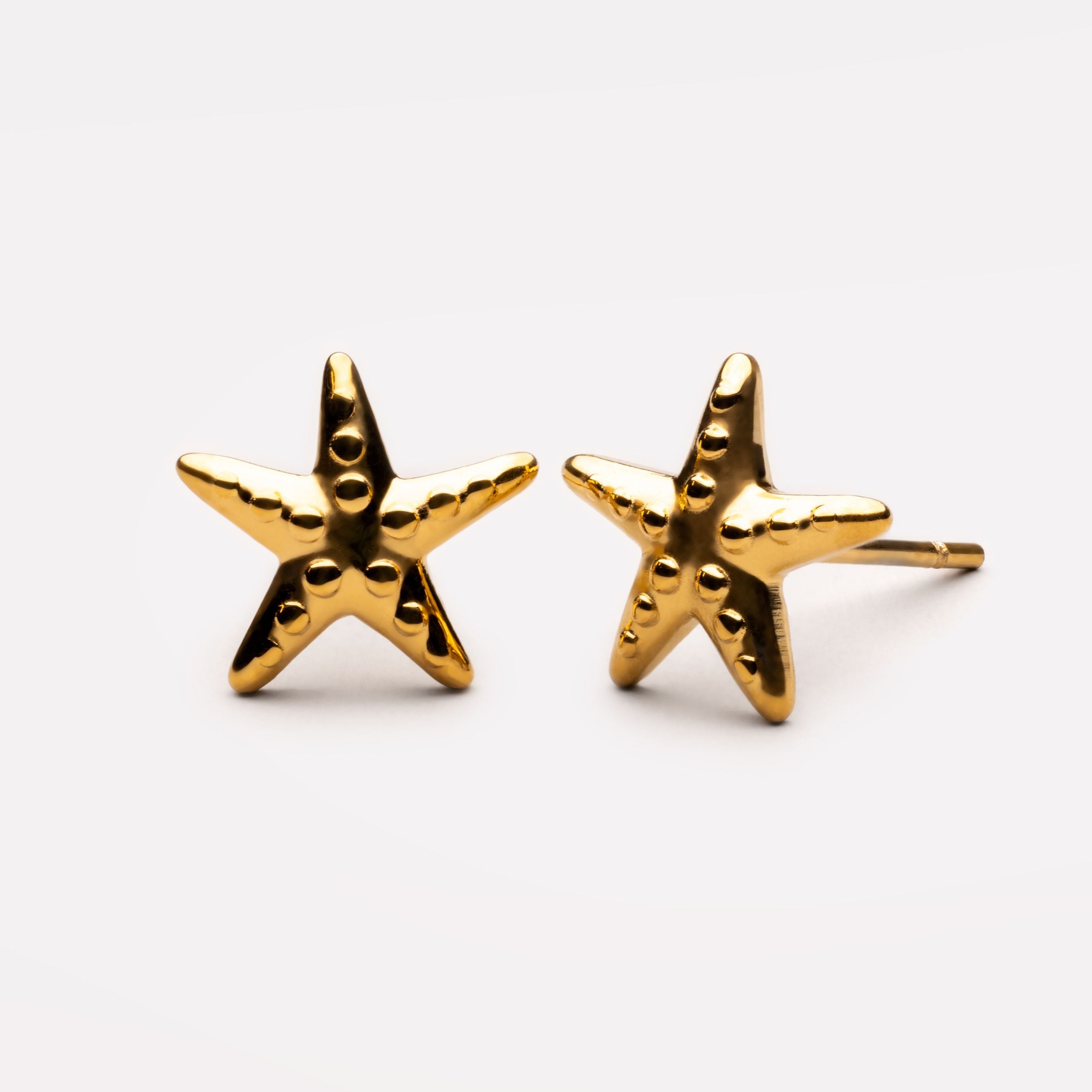 Starfish Earrings、mySite、hinf8tx79