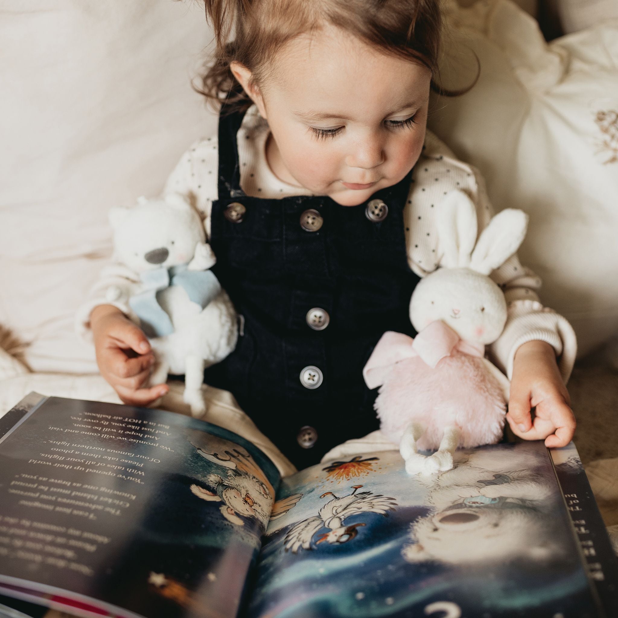 Boris the Polar Bear Limited Edition Holiday Roly Poly、mySite、g9winljtr