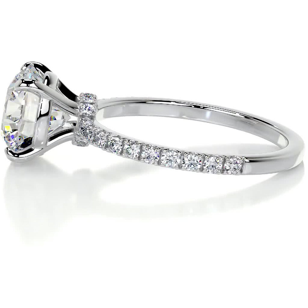 Eleanor Moissanite & Diamond Ring -Platinum、mySite、hinf8tx79