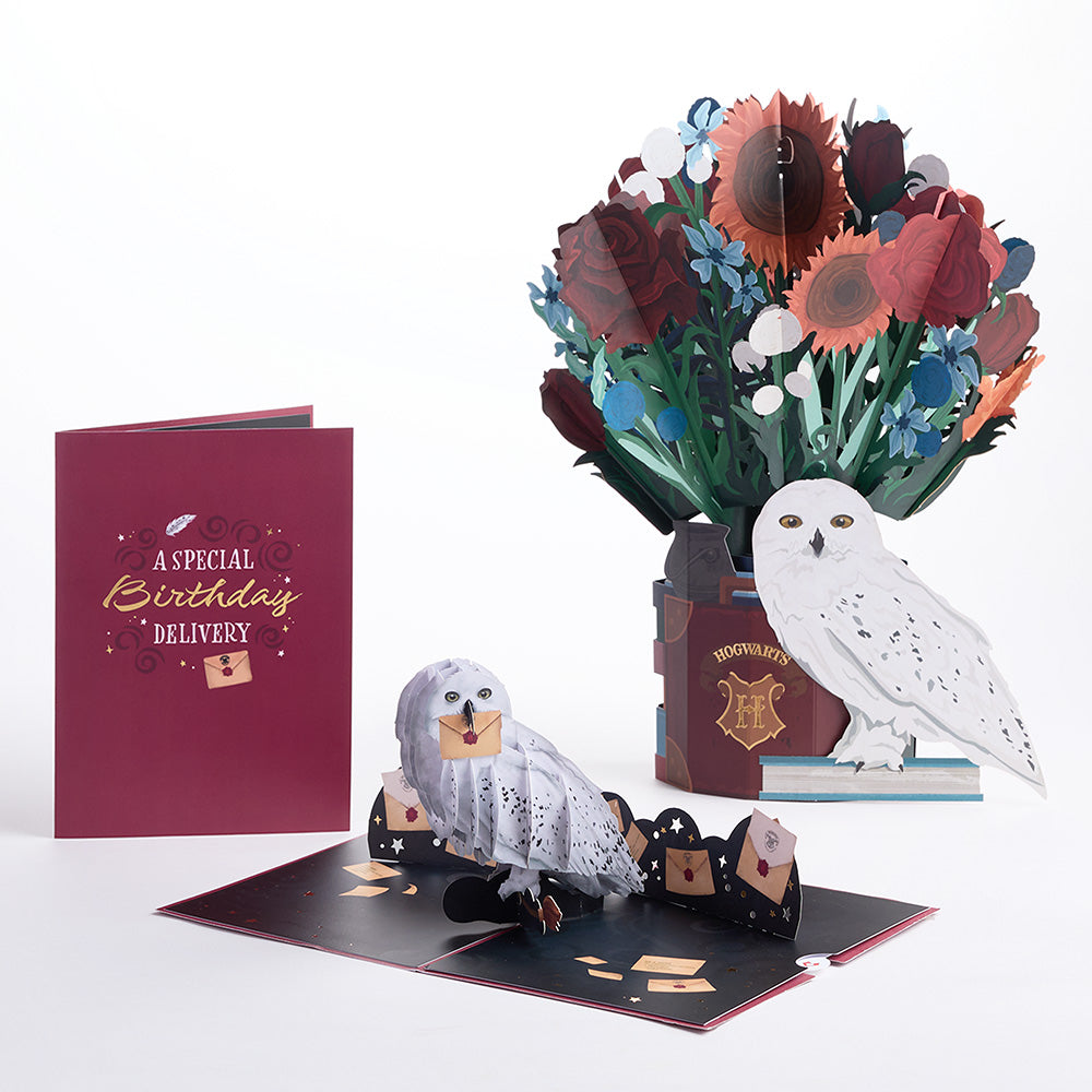 Harry Potter™ Hedwig™ Birthday Pop-Up Card & Flower Buds Bouquet Bundle、mySite、solidvoid