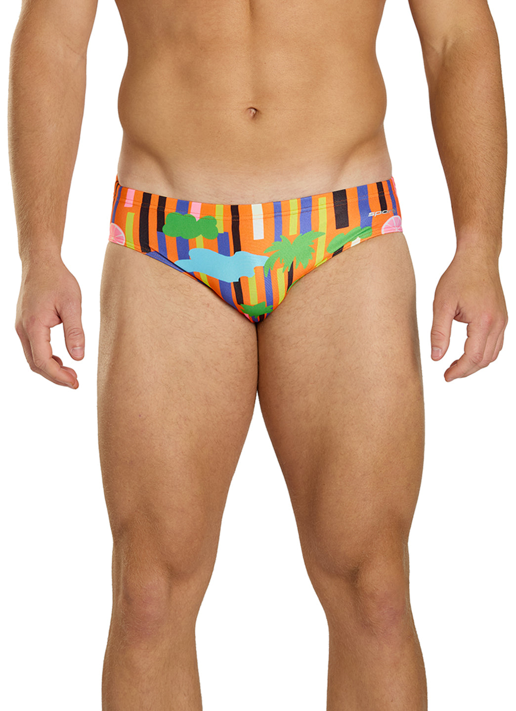 Sporti HydroLast Radical Dreamer Brief Swimsuit (26-40)、mySite、noshort