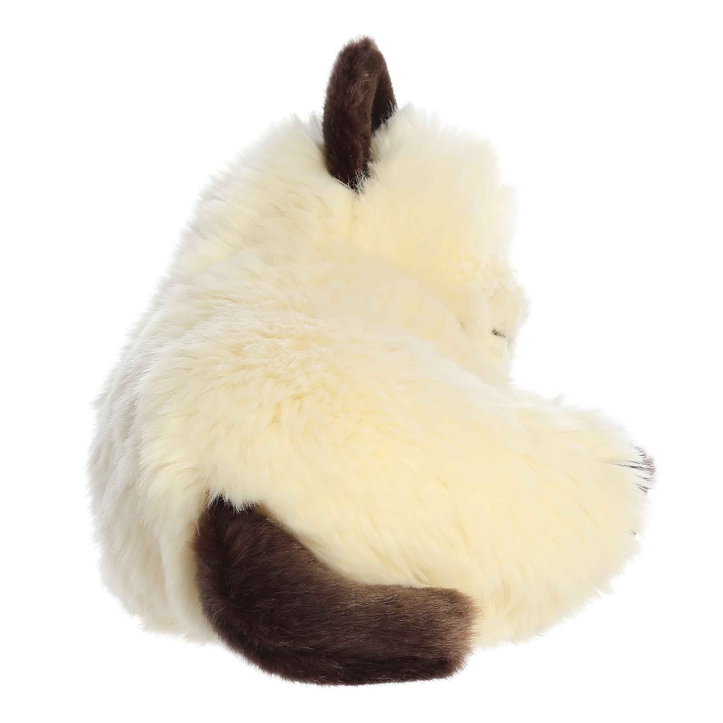 Aurora® - Miyoni® Tots - 10 Sleepy Himalayan Kitten、mySite、g9winljtr