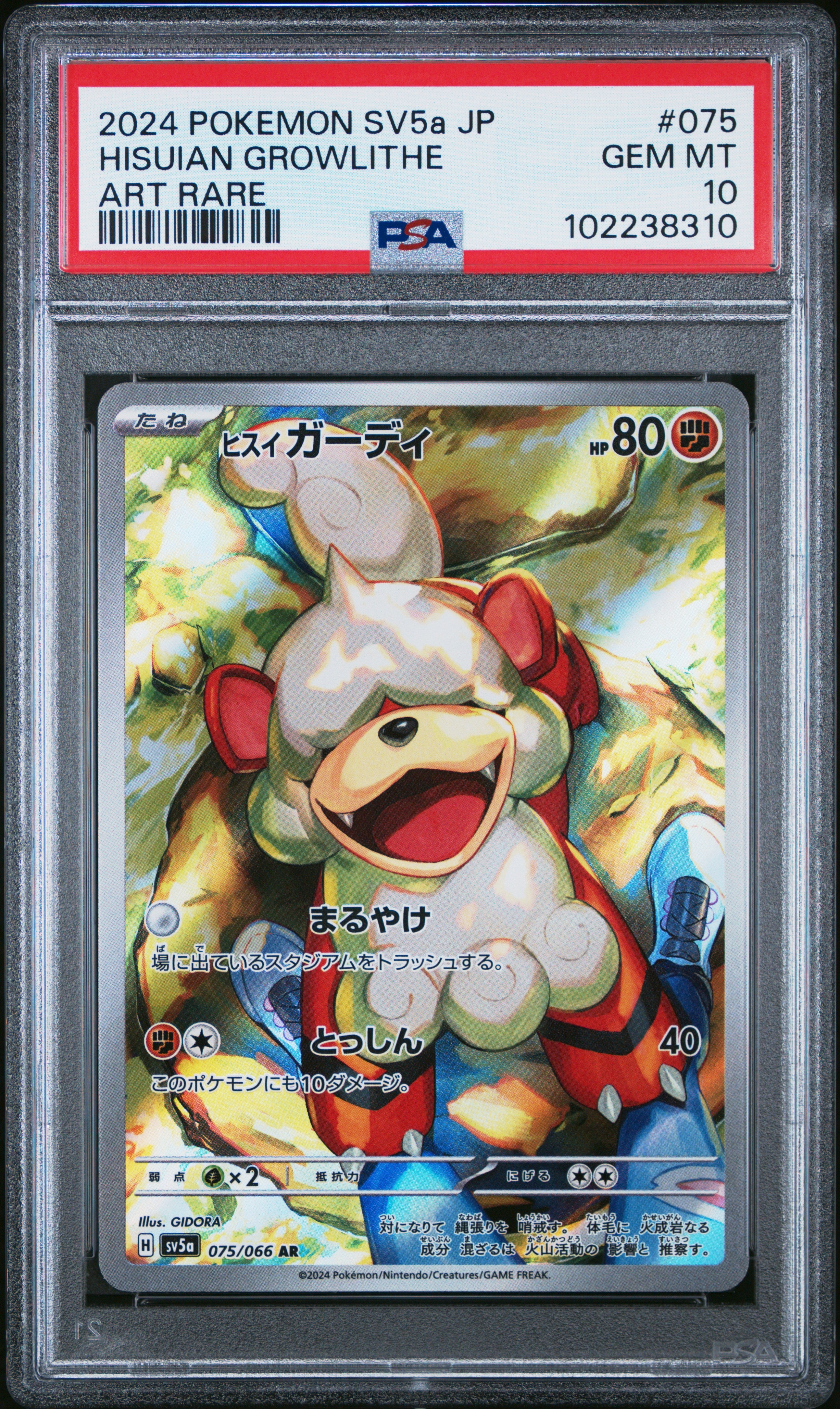 Hisuian Growlithe #075 Art Rare PSA 10 Japanese Crimson Haze 2024、mySite、waistdrama
