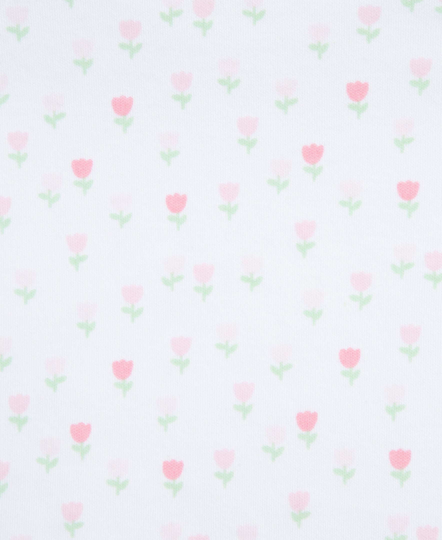  Cuddly Bunny 5-Piece Bodysuit & Pant Set、mySite、layawaytickets