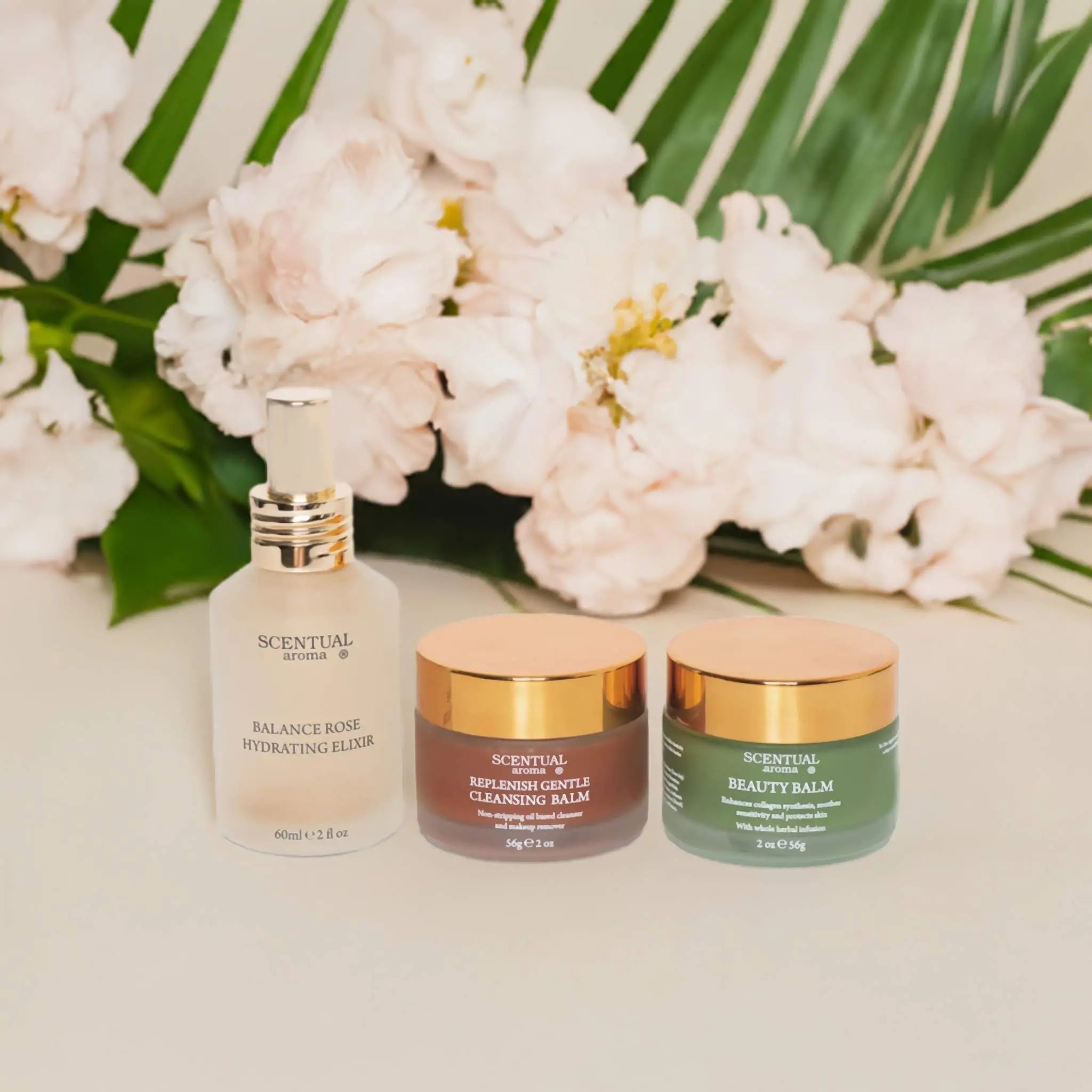  I AM RESTORED Skin Routine、mySite、elrpsem3k