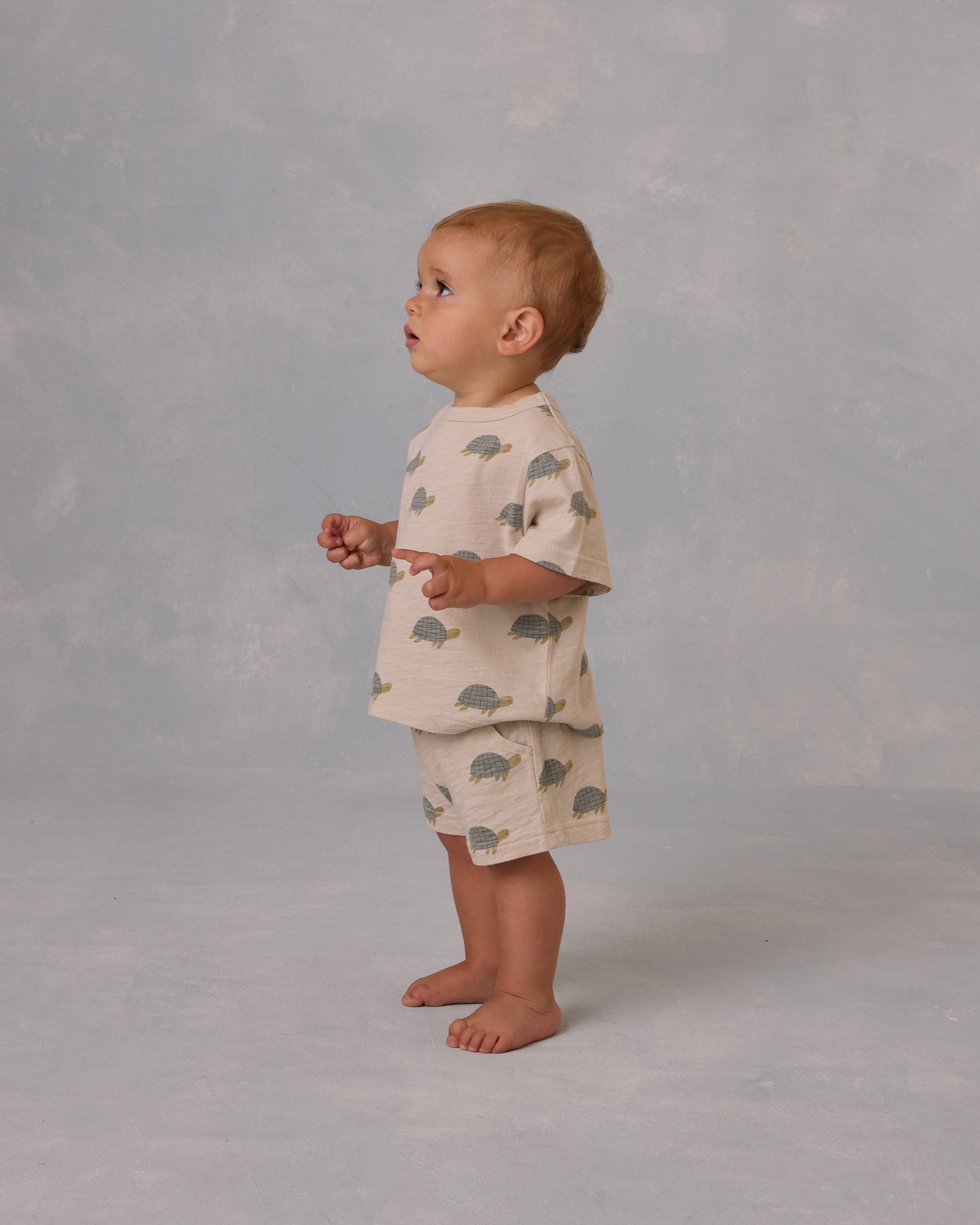  Play Set || Sea Turtles、mySite、layawaytickets