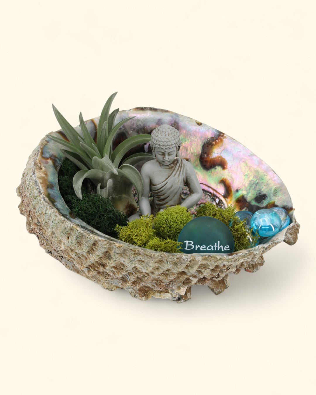 Breathe Abalone Shell Zen Terrarium、mySite、topwebapps