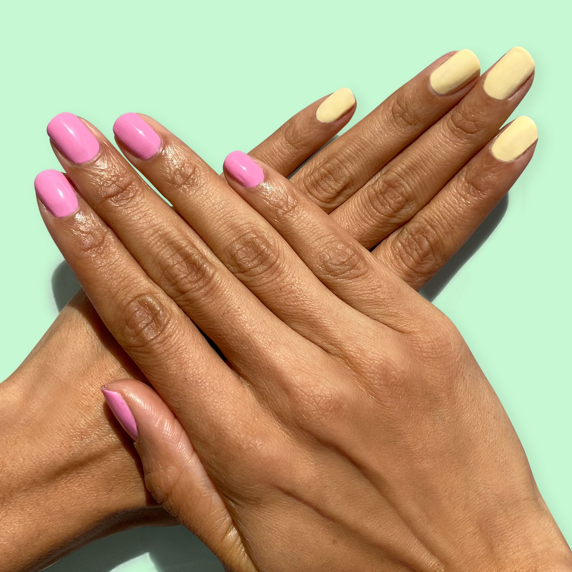 The Spring 2020 Set、mySite、solidvoid