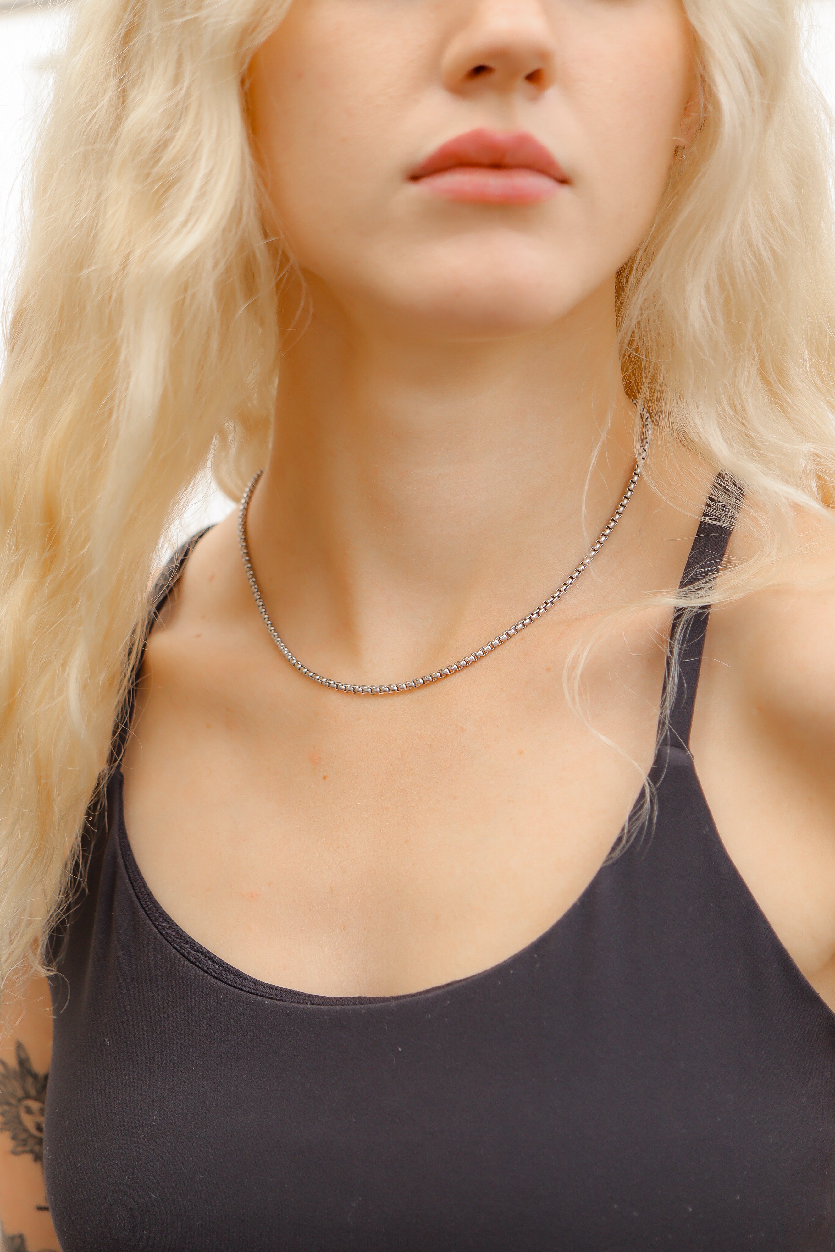 18K Gold PVD Stainless Steel Rounded Box Chain / CHN9952、mySite、dreamappss