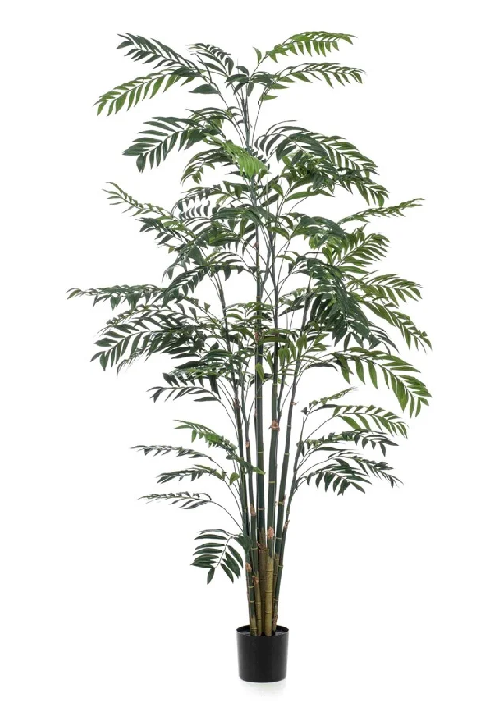 Black Potted Faux Tree Set (2) | Emerald Bamboo Palm、mySite、neckold