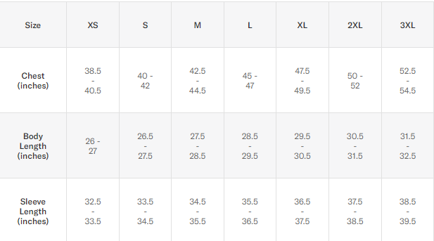 2024 NHL All Star Wales Vintage Hoody