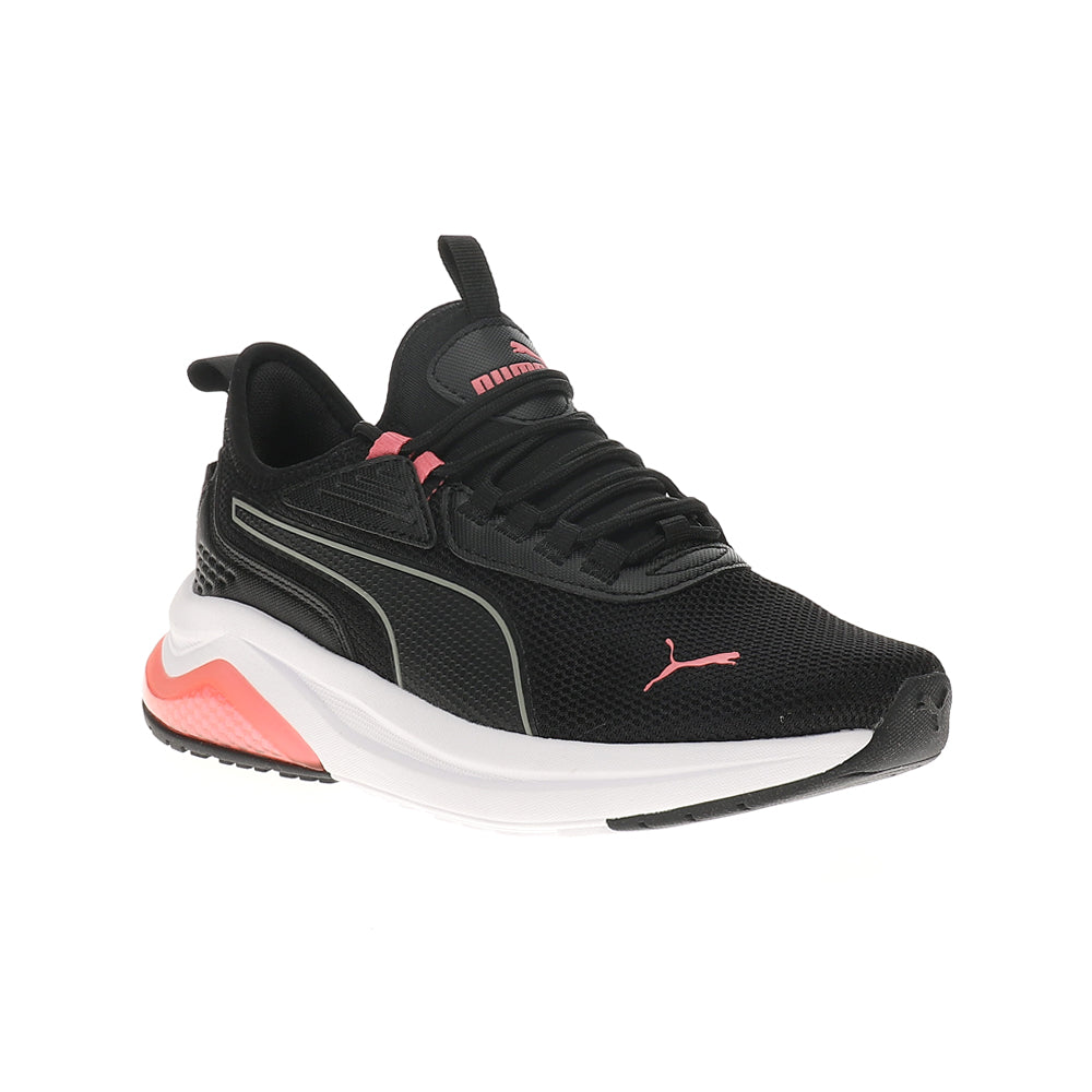 Amplifier Lace Up Sneakers、mySite、gtrtttuynbv