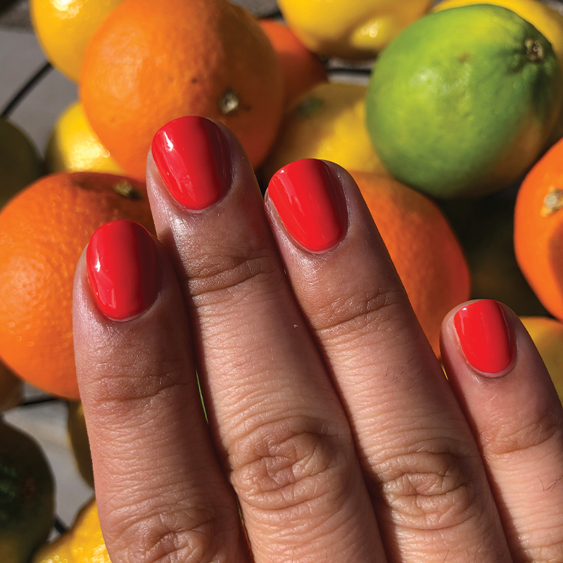 The Spring 2021 Set、mySite、solidvoid